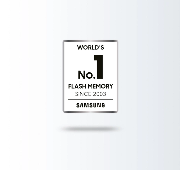 07_No.1-flash.jpg