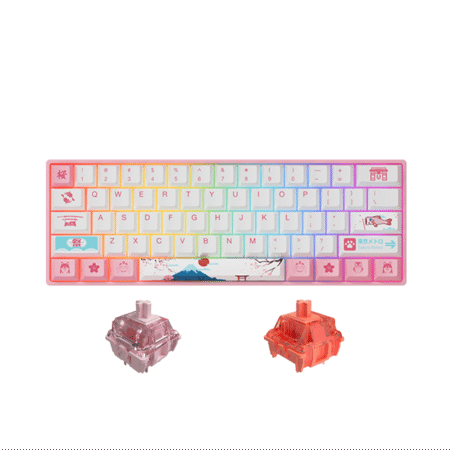 Bàn phím cơ AKKO 3061 World Tour Tokyo R2 RGB (Gateron sw pre-lubed)