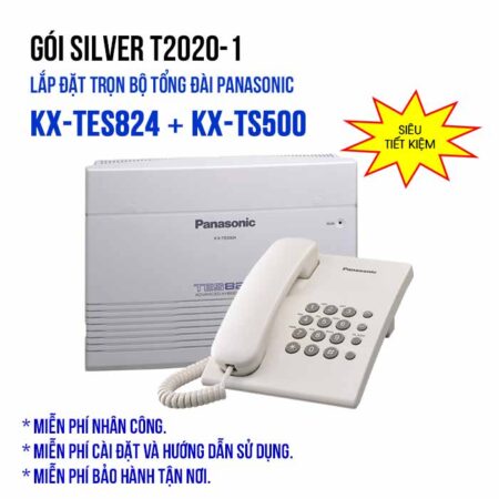 lap-dat-tron-bo-tong-dai-noi-bo-panasonic-silver-t2020-1-700.jpg