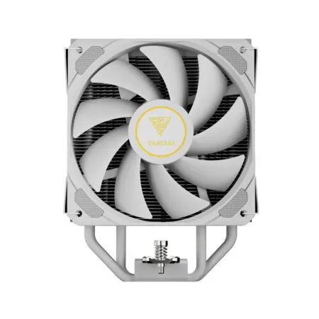 3 Dc8ef0dc Fd8f 4f8f 8a86 Fdfd9045d6fa