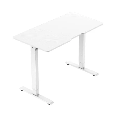 Ban Nang Ha Warrior Paladin Series Wgt604 4 1