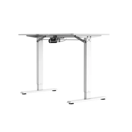 Ban Nang Ha Warrior Paladin Series Wgt604 5 1