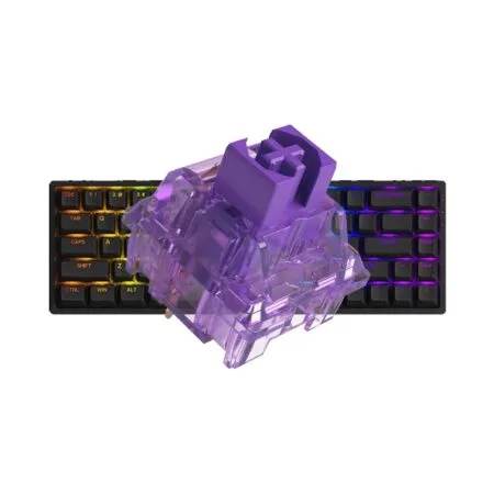 Ban Phim Co Akko 3068 V2 Rgb Black 2 1