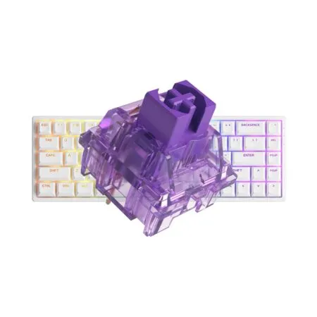 Ban Phim Co Akko 3068 V2 Rgb White 2 1