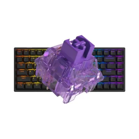 Ban Phim Co Akko 3084 V2 Rgb Black 1 1