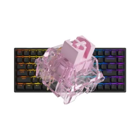 Ban Phim Co Akko 3084 V2 Rgb Black 2 1