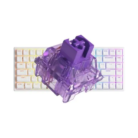 Ban Phim Co Akko 3084 V2 Rgb White 2 1