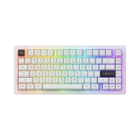 Bàn phím cơ AKKO ACR Pro 75 RGB Akko CS Crystal