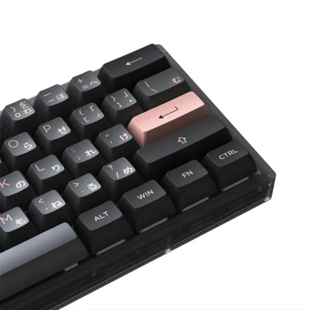 Ban Phim Co Akko Acr61 Black Rgb Akko Cs Jelly Black 1 1