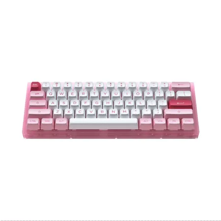 Ban Phim Co Akko Acr61 Pink Rgb Akko Cs Jelly Pink 3 1
