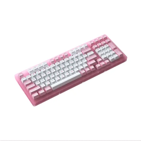 Ban Phim Co Akko Acr98 Pink Rgb Akko Cs Jelly Pink 2 1