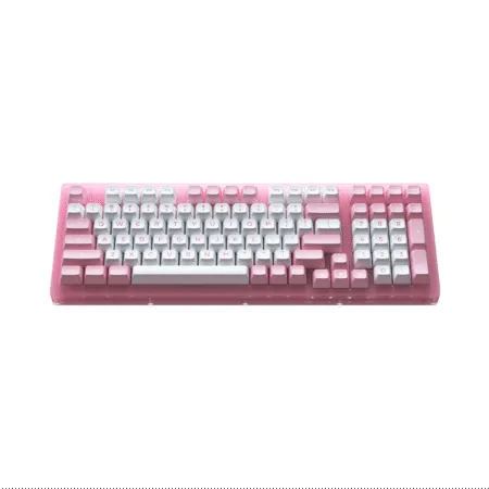 Ban Phim Co Akko Acr98 Pink Rgb Akko Cs Jelly Pink 4 1