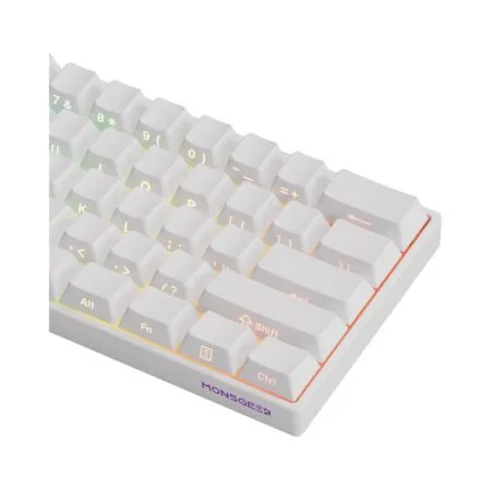 Ban Phim Co Akko Monsgeek Fun60 Pro Sp Magnetic Sw 10