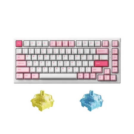 Bàn phím cơ AKKO MonsGeek MG75 Prunus Lannesiana (Akko Sw V3)