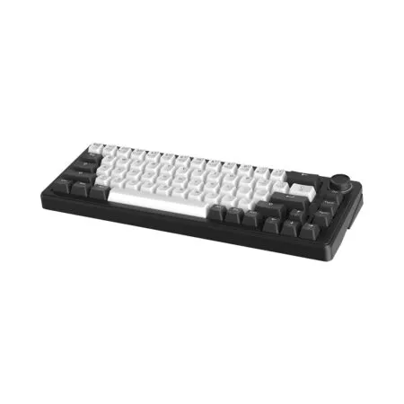 Ban Phim Co Dareu Ek65s White Black Pbt Rgb Dareu Sw 04