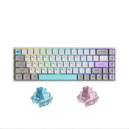 Bàn phím cơ không dây AKKO 3068B Multi-modes Silent (Akko CS Sw)