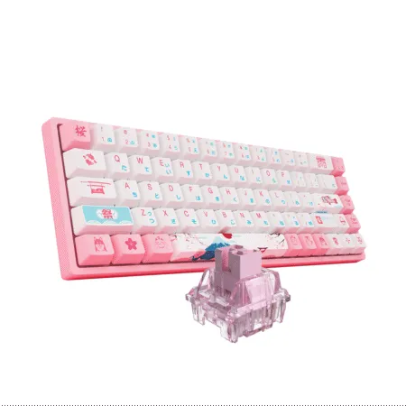 Ban Phim Co Khong Day Akko 3068b Multi Modes World Tour Tokyo R2 2 1