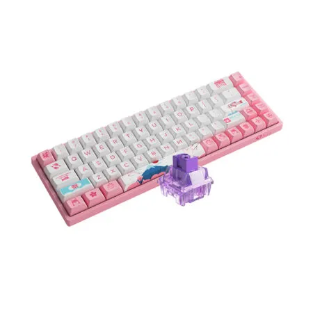 Ban Phim Co Khong Day Akko 3068b Plus World Tour Tokyo R2 Akko Cs Sw 1 1