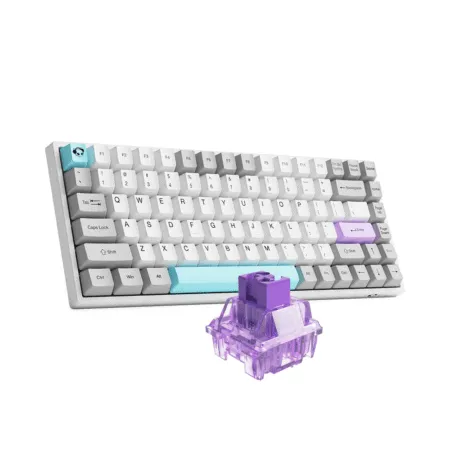 Ban Phim Co Khong Day Akko 3084b Plus Silent 5 1