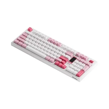 Ban Phim Co Khong Day Akko 5098b Prunus Lannesiana Lcd Screen Rgb Hotswap Akko Sw 05