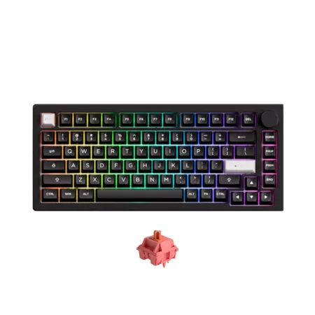 Bàn phím cơ không dây AKKO MonsGeek M1 V5 VIA White on Black Aluminum RGB Hotswap (AKKO Sw)