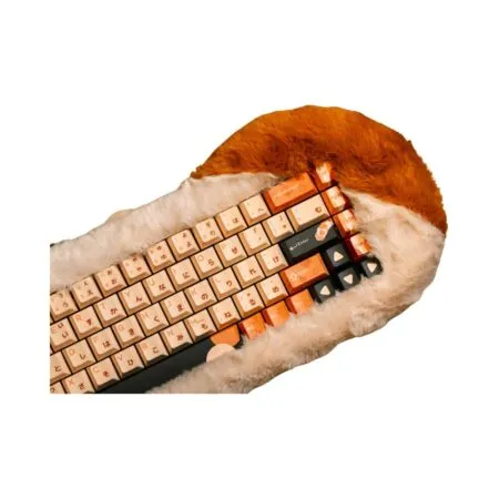 Ban Phim Co Khong Day Dry Studio Petbrick 65 Calico Rgb Hotswap Dry Studio Sw 02