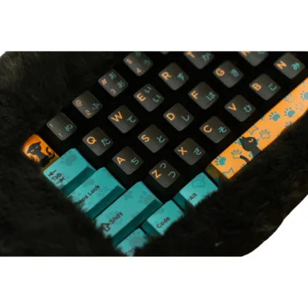 Ban Phim Co Khong Day Dry Studio Petbrick 65 Odd Eye Rgb Hotswap Dry Studio Sw 01