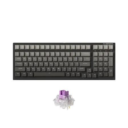 Ban Phim Co Khong Day Fl Esports Fl100 Cpm Gradient Ink 3 Mode Led Rgb Hotswap Flcmmk Ice Switch 3 1