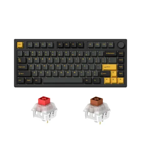 Bàn phím cơ không dây FL-Esports GP75 CPM Polar Night Black 3 Mode Led RGB HotSwap Kailh Box Switch Red/Brown