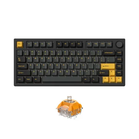 Ban Phim Co Khong Day Fl Esports Gp75 Cpm Polar Night Black 3 Mode Led Rgb Hotswap Ttc Switch 1 1