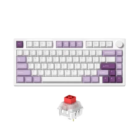 Ban Phim Co Khong Day Fl Esports Gp75 Cpm Taro Purple 3 Mode Led Rgb Hotswap Kailh Box Switch 1 1