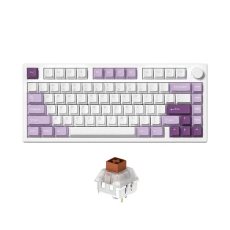 Ban Phim Co Khong Day Fl Esports Gp75 Cpm Taro Purple 3 Mode Led Rgb Hotswap Kailh Box Switch 2 1