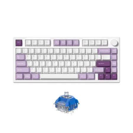 Ban Phim Co Khong Day Fl Esports Gp75 Cpm Taro Purple 3 Mode Led Rgb Hotswap Ttc Switch 1 1