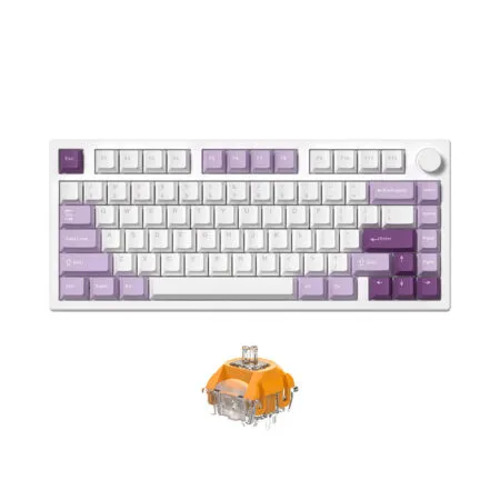 Ban Phim Co Khong Day Fl Esports Gp75 Cpm Taro Purple 3 Mode Led Rgb Hotswap Ttc Switch 2 1