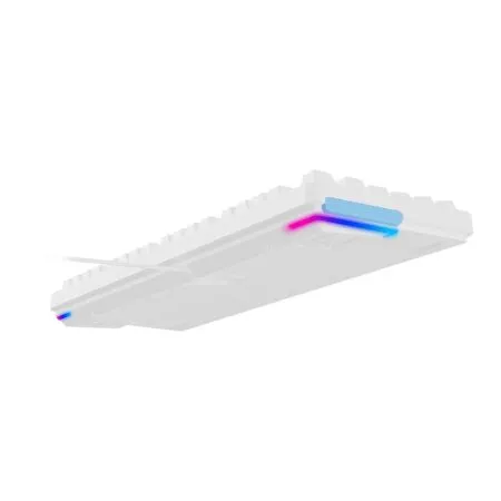 Ban Phim Co Rapoo V500 Pro 98 2024 White Edition Multi Led Rapoo Sw 09