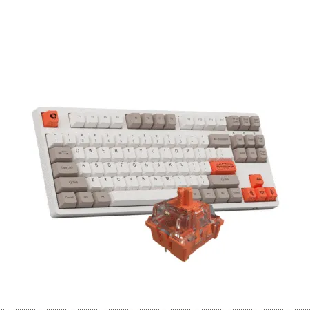 Ban Phim Co Tkl Akko 3087 Steam Engine 01 1