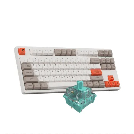 Ban Phim Co Tkl Akko 3087 Steam Engine 03 1