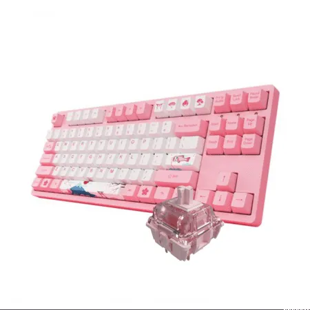 Ban Phim Co Tkl Akko 3087v2 World Tour Tokyo 02 1