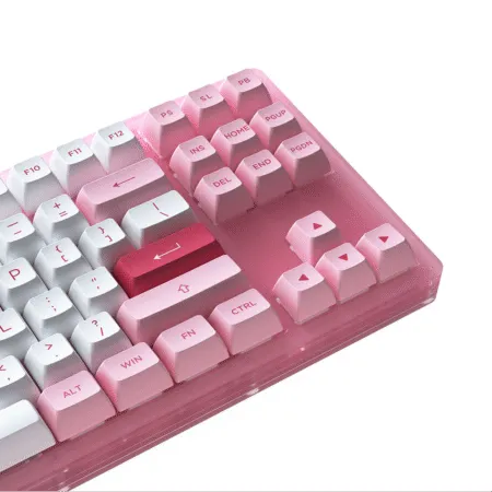 Ban Phim Co Tkl Akko Acr87 Pink Rgb Akko Cs Jelly Pink 4 1