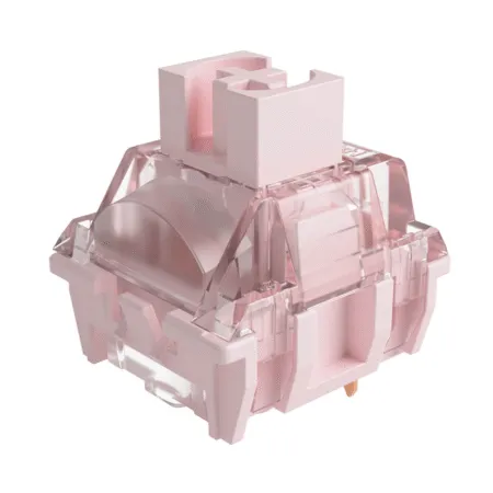 Bo 10 Switch Co Akko X Ttc Princess 1 1