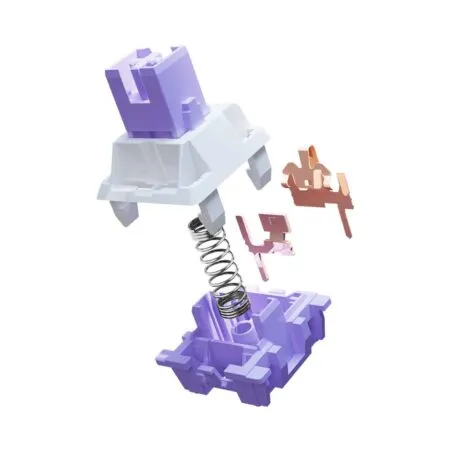 Bo 45 Switch Co Dareu Dream 2