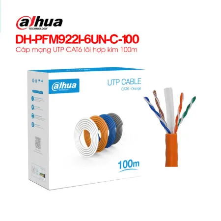 cap-mang-utp-cat6-loi-hop-kim-100m-dahua-dh-pfm922i-6un-c-100-1-1.jpg