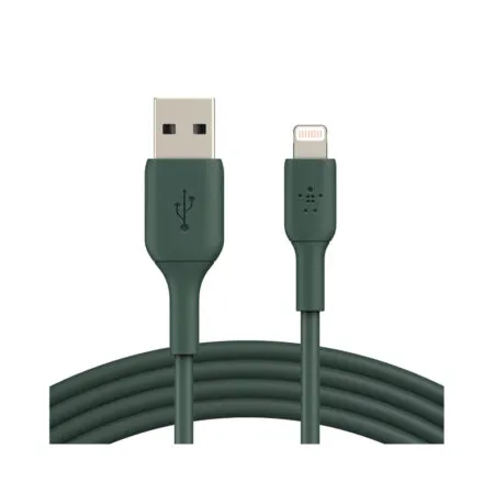 Cap Sac Belkin Boostcharge Mfi Usb A To Lightning 12w 1m 4