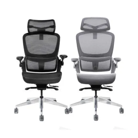 Ghế công thái học Epione Easy Chair SE