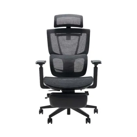 Ghe Cong Thai Hoc Epione Ergochair Pro 2 0 1 1