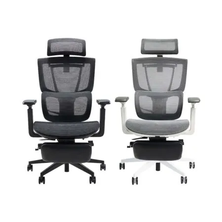 Ghế công thái học Epione ErgoChair Pro 2.0 (kèm kê chân)