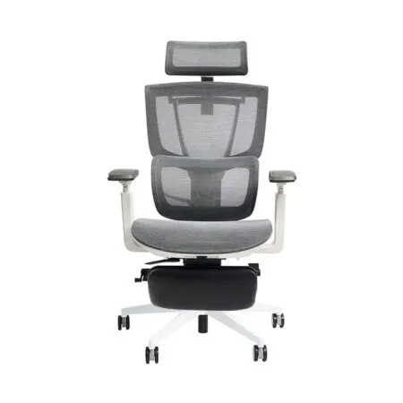 Ghe Cong Thai Hoc Epione Ergochair Pro 2 0 2 1