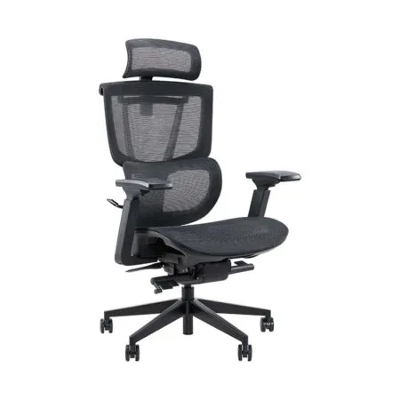 Ghe Cong Thai Hoc Epione Ergochair Pro 2 0 9 7f65dad9 75dd 46a5 Bc6c 0cc939314581 1