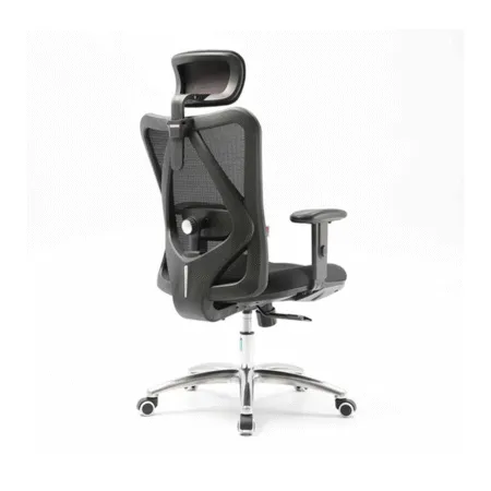 Ghe Cong Thai Hoc Ergolife Erc 18s 1 1