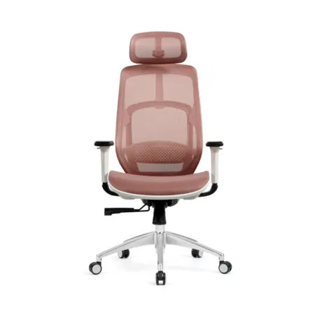 Ghe Cong Thai Hoc Hyperwork Airy 14 1